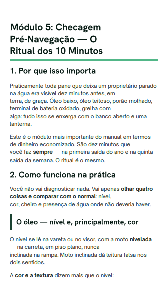 Página do Módulo 5 — Checagem Pré-Navegação
